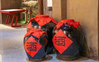 黄酒有几种类型（深度剖析带你领略黄酒的世界）