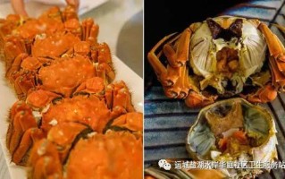 螃蟹要蒸多久才能蒸熟 最佳时间：新手最佳吃大闸蟹方法