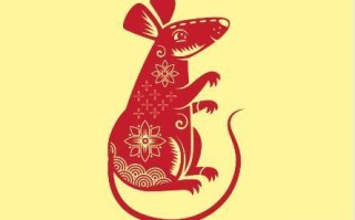 属鼠的今年多大（属鼠的多大年龄了）