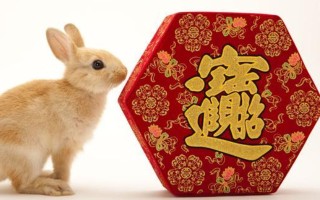 1975年属兔人2024年运势（会遇到什么挑战）