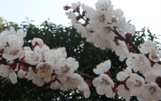 开朗的欧阳姓男孩名字（欧阳姓男孩名字参照）