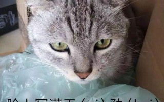 胶片相机怎么选（从相机到胶卷都给你安排上了）