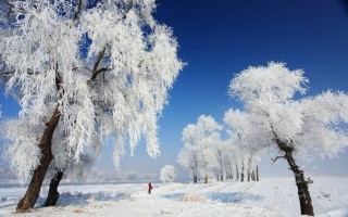 雪乡旅游攻略（最新东北雪乡旅游攻略）