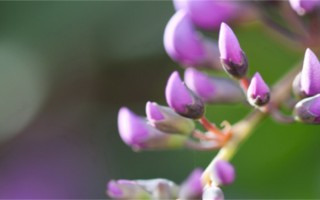 姓公的好听的名字梳理（姓公的好听的名字大全）