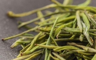 安吉白茶是属于什么茶类（安吉白茶属于哪一类茶）