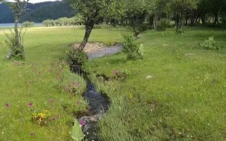 香格里拉的景点（香格里拉攻略）