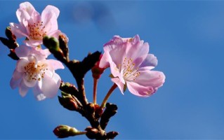 独特的姓轩辕男孩100分名字（姓轩辕男孩100分名字清单）