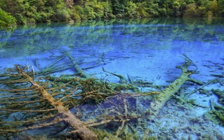 九寨沟旅游攻略，九寨沟景区一日游怎么玩？这篇九寨沟旅游攻略