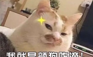 猋是什么意思以及它的来源
