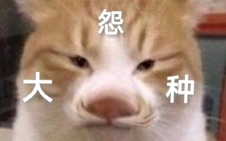 大冤种表情包大全 大怨种狗头表情包分享