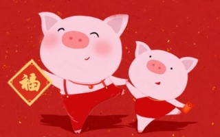 属猪的今年多大（属猪年龄对照表）