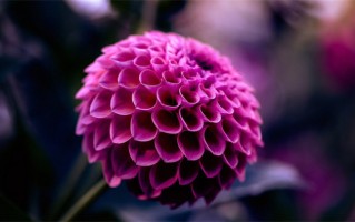 得分100分的姓长孙名字（姓长孙女孩姓名打分100分的名字）