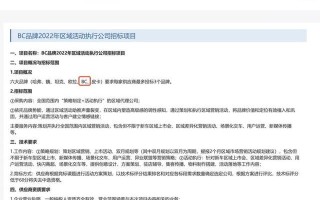 bc是什么牌子（长城汽车发布新品牌BC）