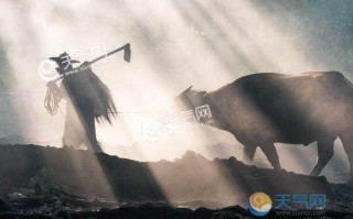 一亩地等于多少平方米（一公顷等于多少亩）