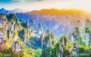 张家界旅游攻略（张家界旅游必去景区推荐大全）