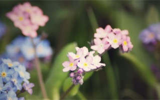 姓毛打分100分的名字梳理（评分100分的姓毛名字）