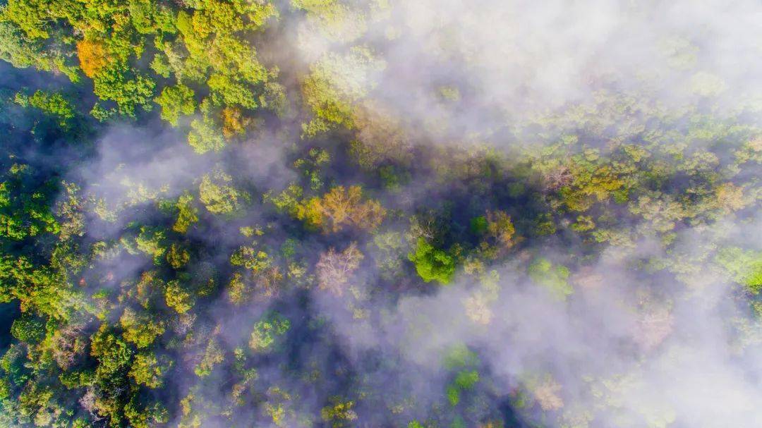 避暑胜地有哪些?国内最美的8个避暑胜地！人少景美-第33张图片-阔酒网