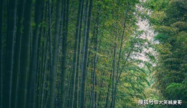 避暑胜地有哪些?国内最美的18个避暑胜地，均温20°C-第24张图片-阔酒网