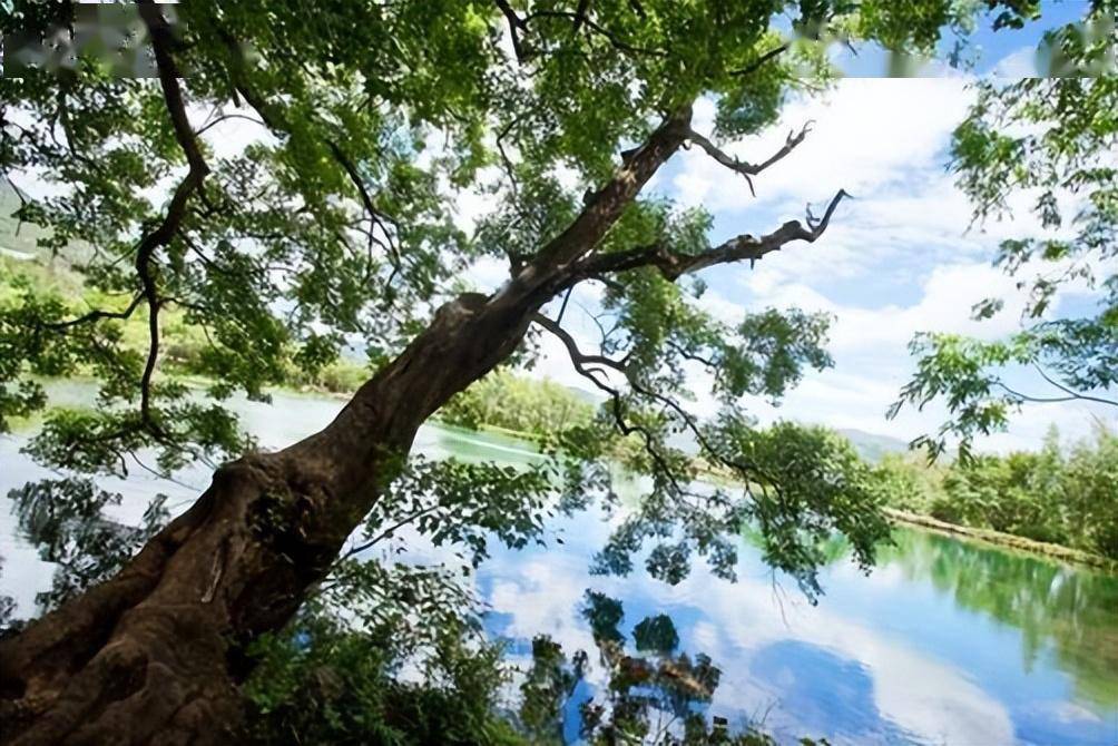 避暑胜地有哪些?夏天旅游去哪里 ，10大绝美避暑胜地-第16张图片-阔酒网